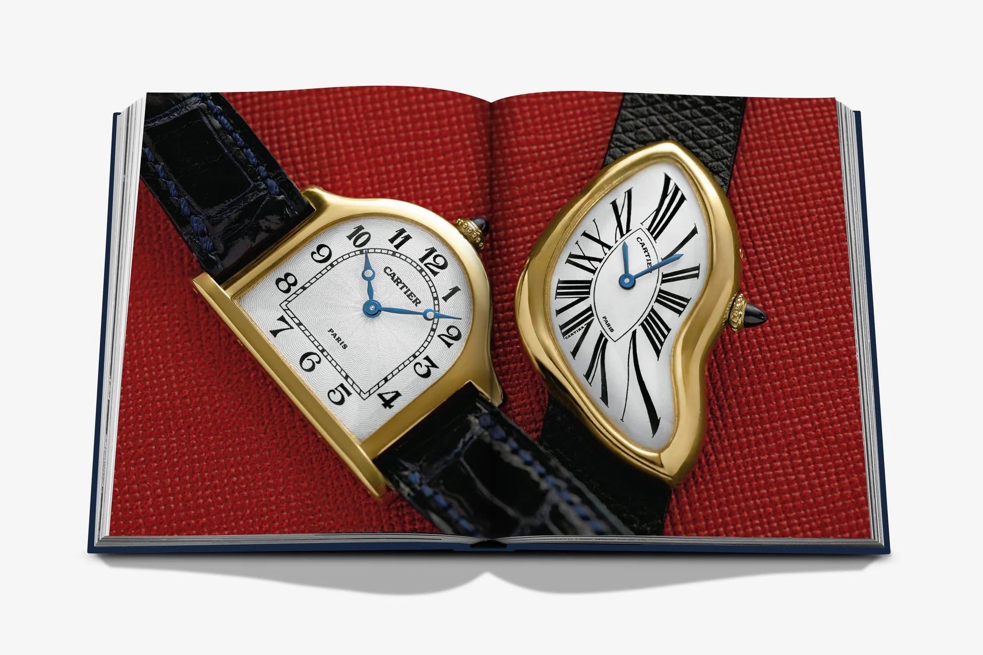 ASSOULINE The Connoisseur’s Guide to Fine Timepieces : European Watch Company